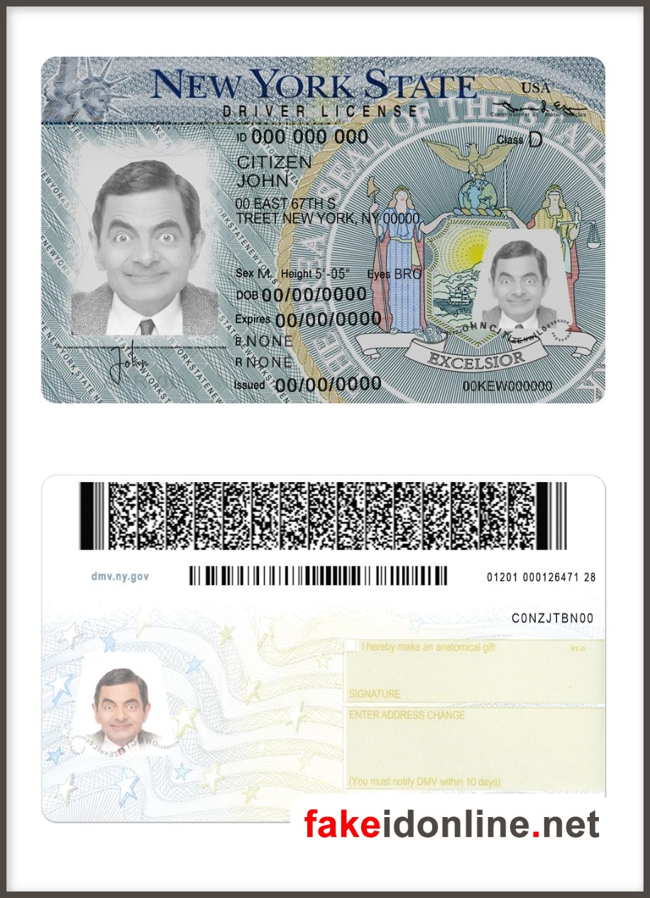 New York Driver License PSD Template